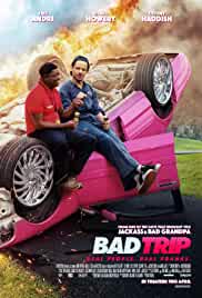 Bad Trip 2020 Hindi Dubbed 480p Filmy4Fly