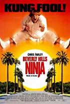 Beverly Hills Ninja 1997 Hindi Dubbed 480p 720p Filmy4Fly