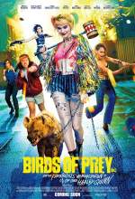 Birds of Prey 2020 Dual Audio Hindi 480p BluRay 300MB Filmy4Fly