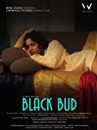 Black Bud 2021 Full Movie Download Filmy4Fly