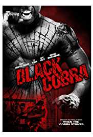 Black Cobra 2012 Dual Audio Hindi 480p 300MB Filmy4Fly