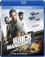 Brick Mansions 2014 Dual Audio Hindi 480p Filmy4Fly