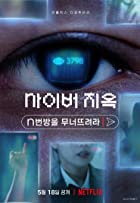 Cyber Hell Exposing an Internet Horror 2022 Hindi Dubbed 480p 720p Filmy4Fly