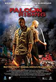 Falcon Rising 2014 Dual Audio Hindi 480p 300MB Filmy4Fly