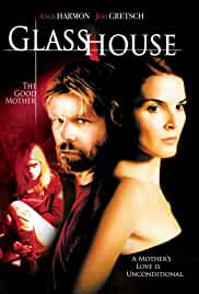 Glass House The Good Mother 2006 Dual Audio Hindi 480p Filmy4Fly