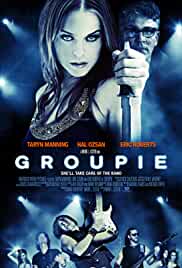 Groupie 2010 Hindi Dubbed 480p Filmy4Fly