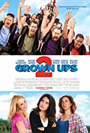 Grown Ups 2 2013 Hindi Dubbed 480p Filmy4Fly