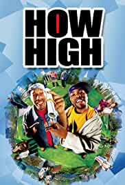 How High 2001 Dual Audio Hindi 480p Filmy4Fly