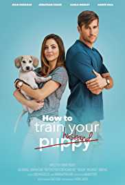 How To Train Your Husband 2017 Hindi Dubbed Filmy4Fly