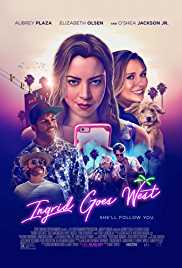 Ingrid Goes West 2017 Dual Audio Hindi 480p 300MB Filmy4Fly