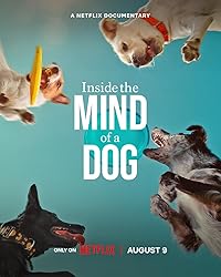 Inside the Mind of a Dog Hindi Dubbed English Movie Download 480p 720p 1080p Filmy4Fly