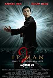 Ip Man 2 2010 Dual Audio Hindi 480p 300MB Filmy4Fly