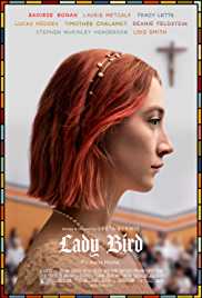 Lady Bird 2017 Dual Audio Hindi 480p 300MB Filmy4Fly