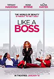 Like A Boss 2020 Dual Audio Hindi 480p Filmy4Fly