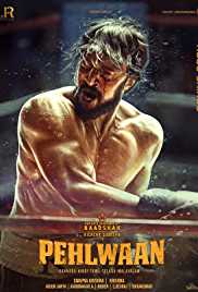 Paiwaan 2019 Hindi Full Movie Download Filmy4Fly