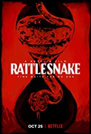 Rattlesnake 2019 Dual Audio Hindi 480p 300MB Filmy4Fly