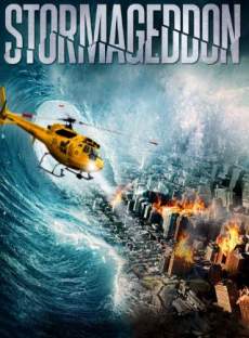 Stormageddon 2015 Dual Audio Hindi 480p 300MB Filmy4Fly