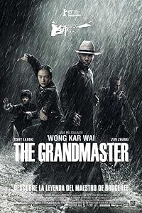 The Grandmaster 2013 Hindi Dubbed Chinese English 480p 720p 1080p Download Filmy4Fly