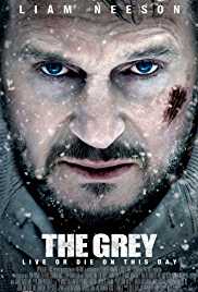 The Grey 2011 Hindi Dubbed 300MB 480p Filmy4Fly