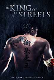 The King of the Streets 2012 Dual Audio Hindi 480p 300MB Filmy4Fly