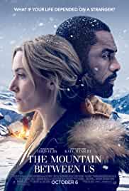 The Mountain Between Us 2017 Dual Audio Hindi 480p Filmy4Fly