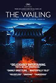 The Wailing 2016 Dual Audio Hindi 480p Filmy4Fly