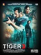 Tiger 3 2023 Movie Download 480p 720p 1080p 2160p 4K Filmy4Fly