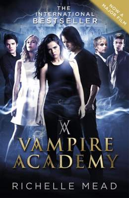 Vampire Academy 2014 Dual Audio Hindi 480p 300MB Filmy4Fly