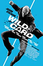 Wild Card 2015 Hindi Dubbed 480p 720p Filmy4Fly