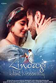 Zindagi Kitni Haseen Hay 2016 Full Movie Download Filmy4Fly