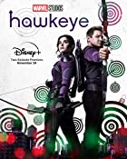 Hawkeye All Seasons Hindi 480p 720p HD Download Filmy4Fly  Filmywap